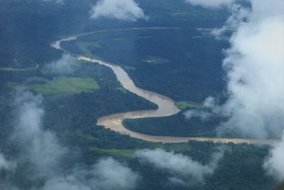 Floresta amazônica no estado do acre