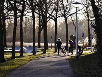 People on road amidst trees against sky