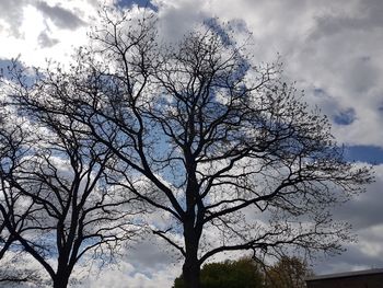 Low angle view of bare tree against sky