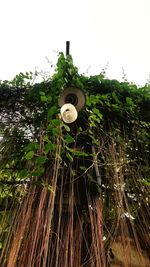 Low angle view of light bulb against sky