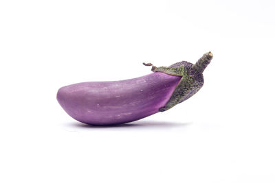 Close-up of purple over white background