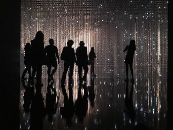 Silhouette people at illuminated fountain at night