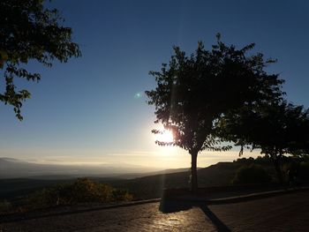 Silhouette tree by plants against sky during sunset