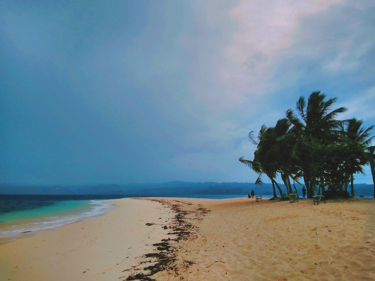 PALM TREES ON BEACH AGAINST SKY