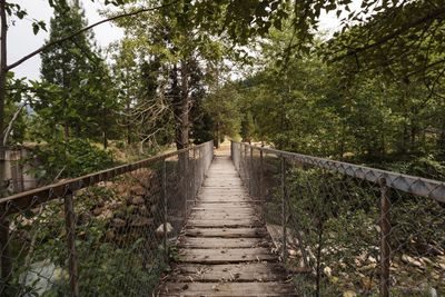 Footbridge in forest