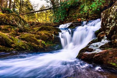 View of waterfall in forest