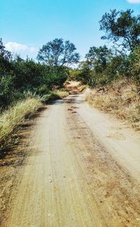 Dirt road amidst plants against sky