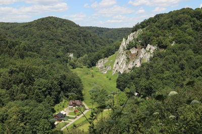 High angle view of lush foliage against sky