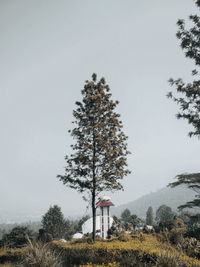 High angle view of built structure by trees