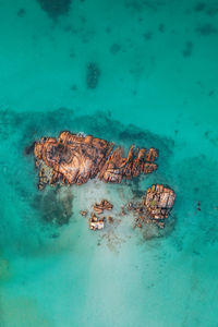 Aerial view of island in sea