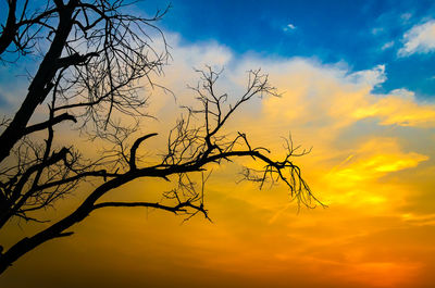 Low angle view of silhouette bare tree against orange sky