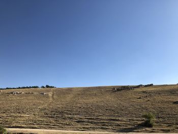 Scenic view of field against clear blue sky