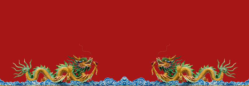 Close up view of dragon and red background