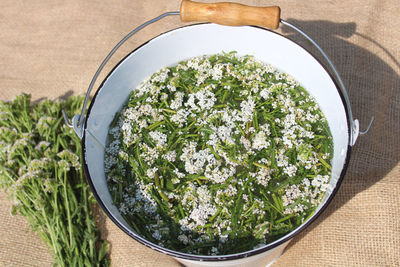 High angle view of vegetables in bowl on table