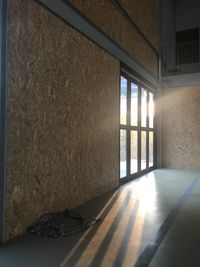 Sunlight streaming through window of house