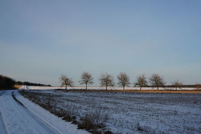 Snow covered field against sky