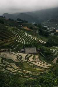 High angle view of agricultural field