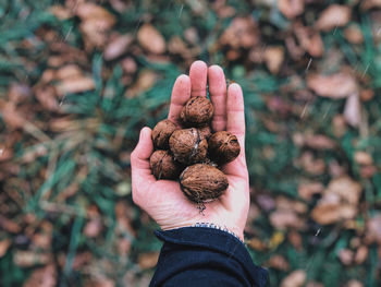 Close-up of woman hand holding fruit outdoors