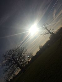 Low angle view of silhouette trees against sky