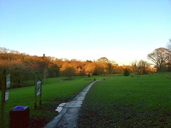 Scenic view of grassy field against clear sky