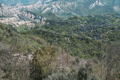 High angle view of trees on landscape