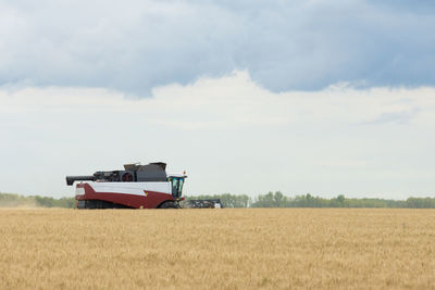 View of agricultural field against sky