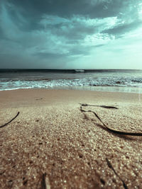 Surface level of beach against sky