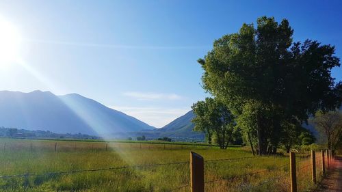 Scenic view of grassy field against sky