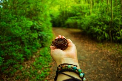 Cropped image of hand holding flower against trees