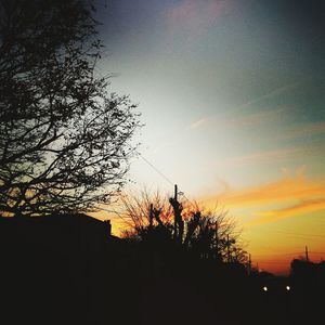 Low angle view of silhouette trees against sky at sunset