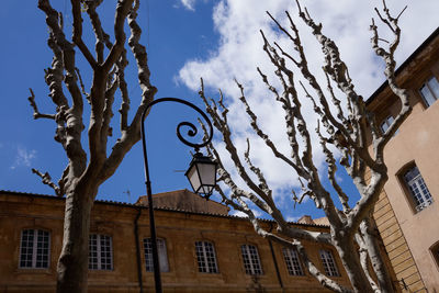 Low angle view of bare tree against sky