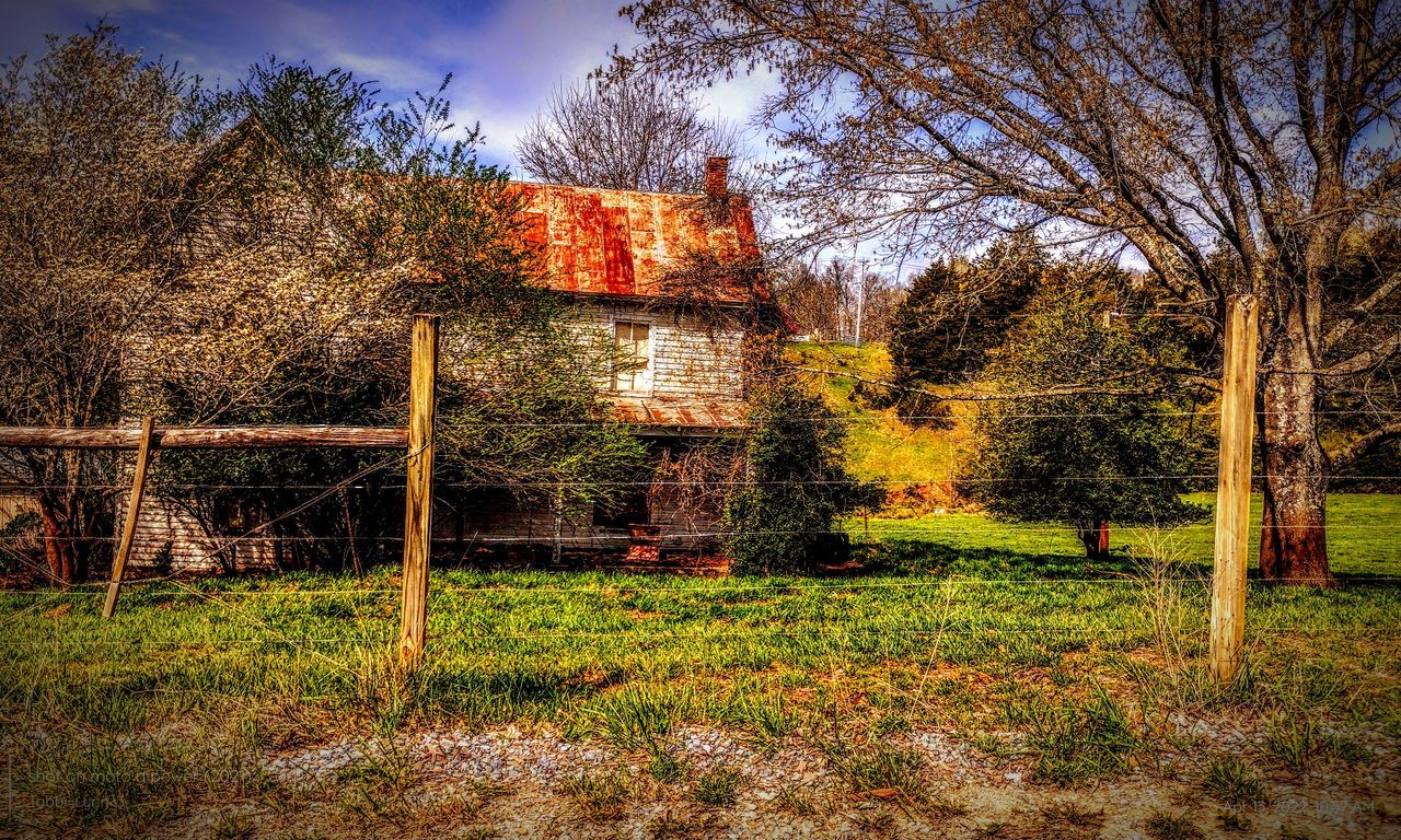 plant, autumn, tree, nature, rural area, sky, grass, no people, architecture, leaf, flower, built structure, field, house, fence, land, growth, sunlight, day, building exterior, woodland, outdoors, building, evening, landscape, tranquility