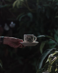 Close-up of hand holding drink against blurred background