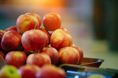 Fresh red apples at farmers' market