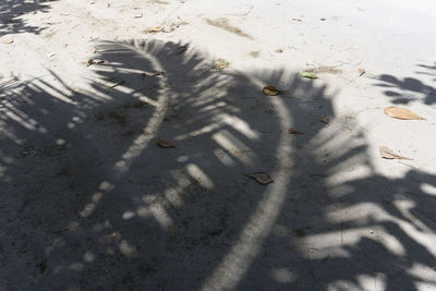 High angle view of shadow on sand