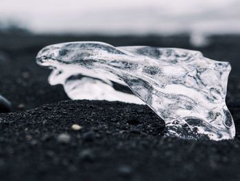 Close-up of frozen water