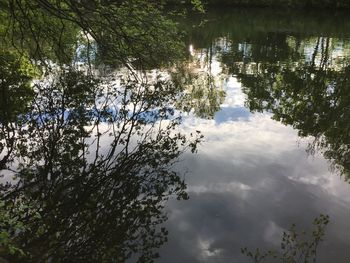 Reflection of tree in lake against sky