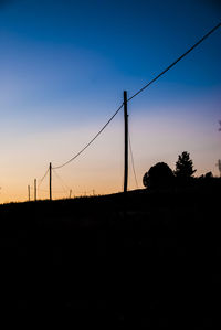 Silhouette of trees at sunset