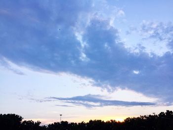 Low angle view of silhouette trees against sky