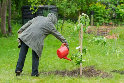Man working on plant in farm