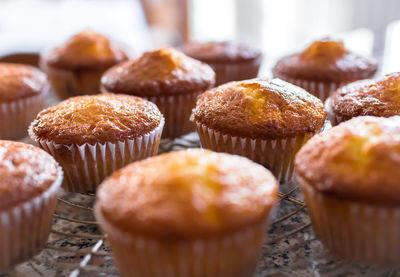 Close-up of cupcakes on table