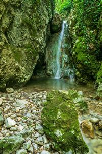 Scenic view of waterfall in forest