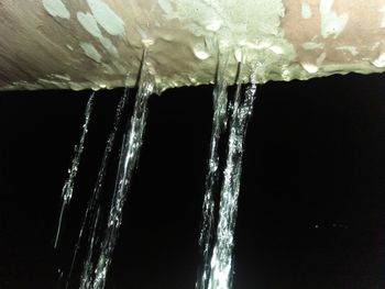 Close-up of icicles