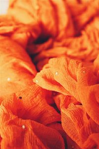 Close-up of orange flower