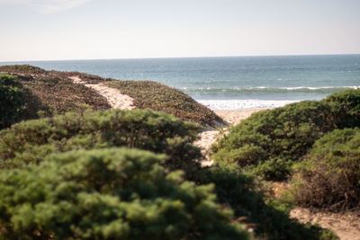 Scenic view of sea against clear sky