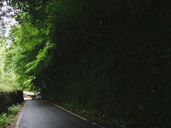 Empty road along trees