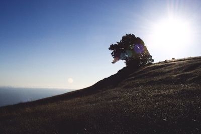 Sun shining over landscape