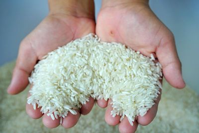 Cropped hands holding rice