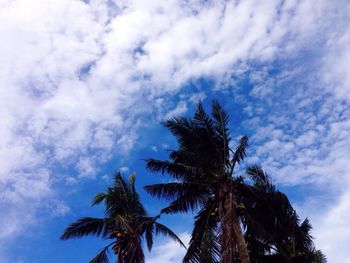 Low angle view of palm tree against cloudy sky