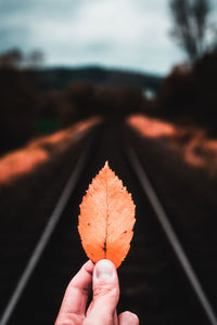 Close-up of human hand holding orange leaf on railroad track during autumn